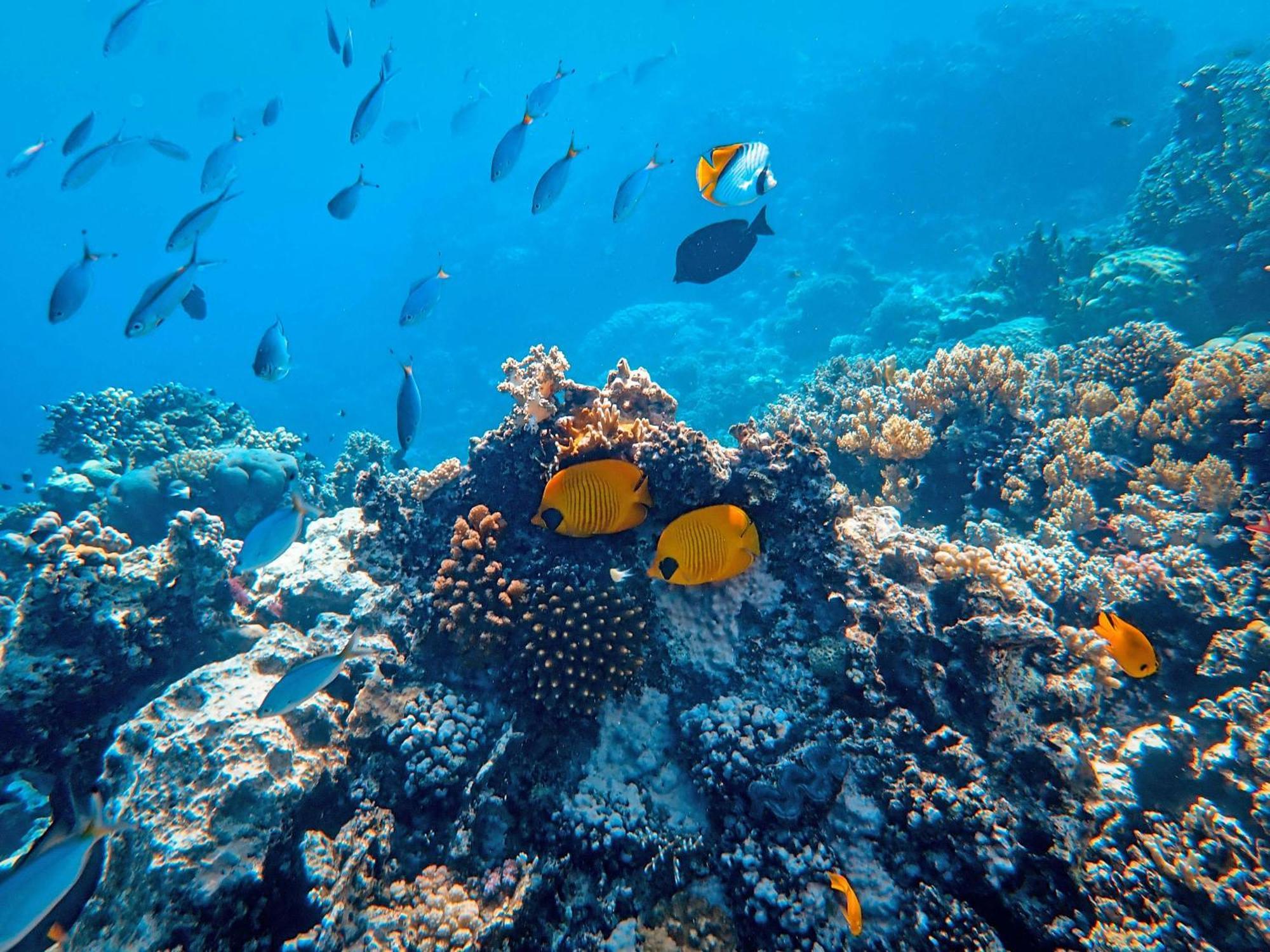 Готель Isla - The Island Experience Ель-Нідо Екстер'єр фото